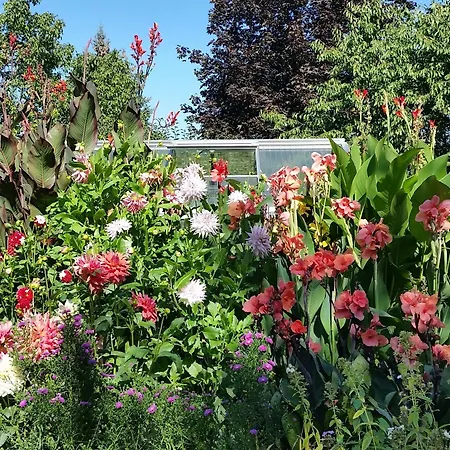 Garni Sonnenhof 3* Reichenberg (Moritzburg)