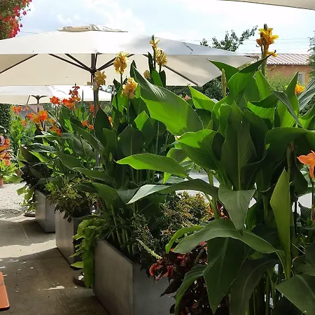 Garni Sonnenhof Hotel 3*