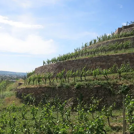 Hotel Garni Sonnenhof 3*